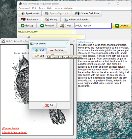 Medical Dictionary Software v. 24 Defines, Speaks, Illustrates, & Checks Spelling in Your Documents