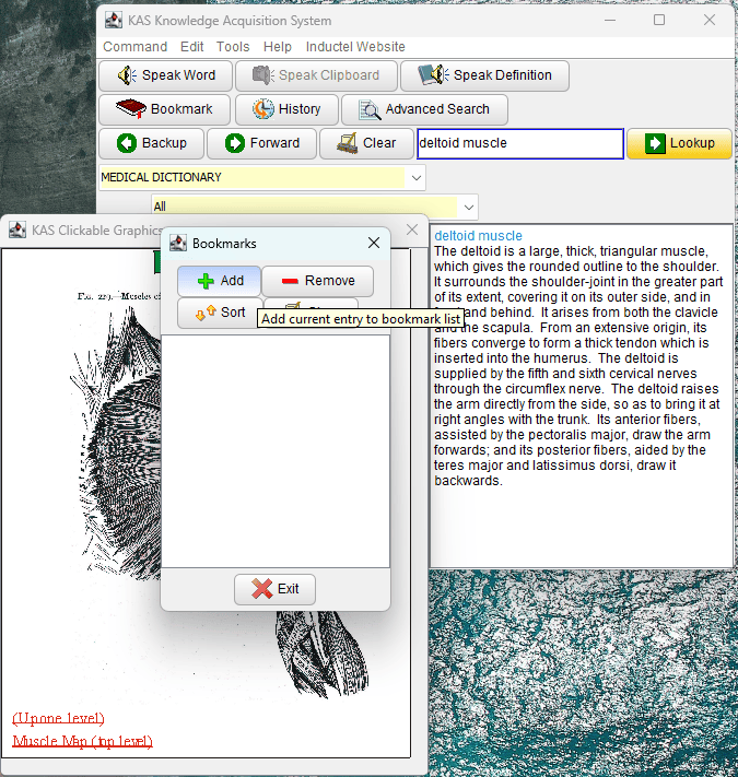 Medical Dictionary Software v. 24 Defines, Speaks, Illustrates, & Checks Spelling in Your Documents