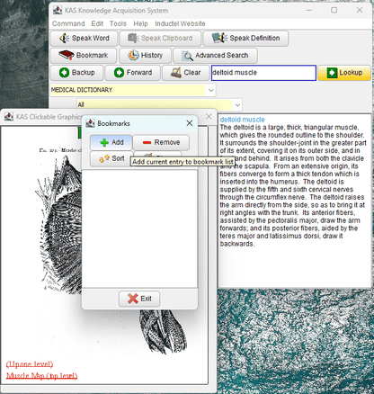 Medical Dictionary Software v. 24 Defines, Speaks, Illustrates, & Checks Spelling in Your Documents