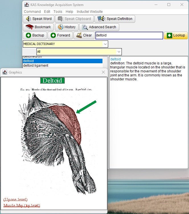 Medical Dictionary Software v. 24 Defines, Speaks, Illustrates, & Checks Spelling in Your Documents